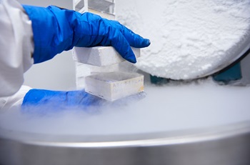 Person pulling samples out of a freezer
